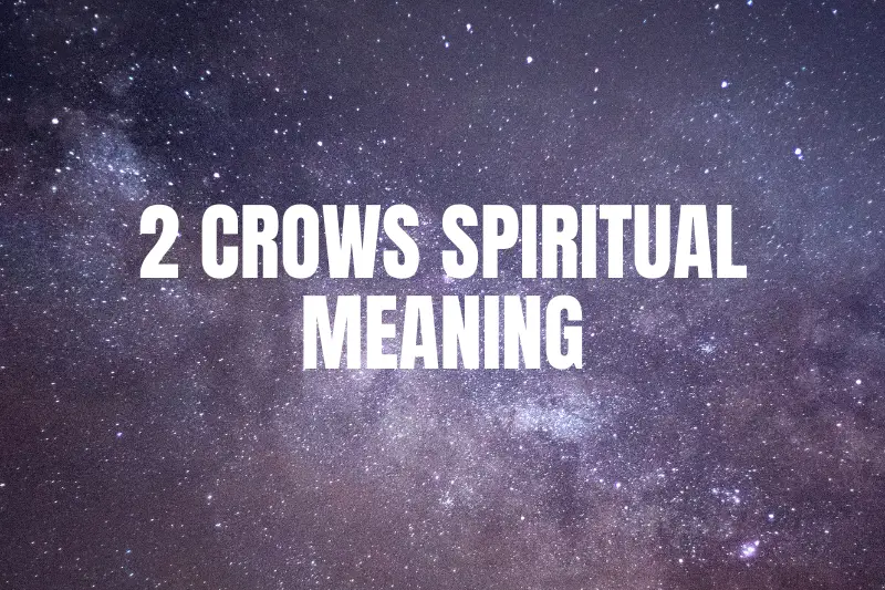 “Unveiling the Mystical Symbolism: Exploring 2 Crows Spiritual Meaning”