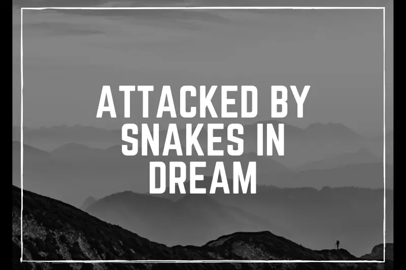 “Attacked by Snakes in Dream: Unraveling the Hidden Meanings Behind this Terrifying Nightmare Experience”