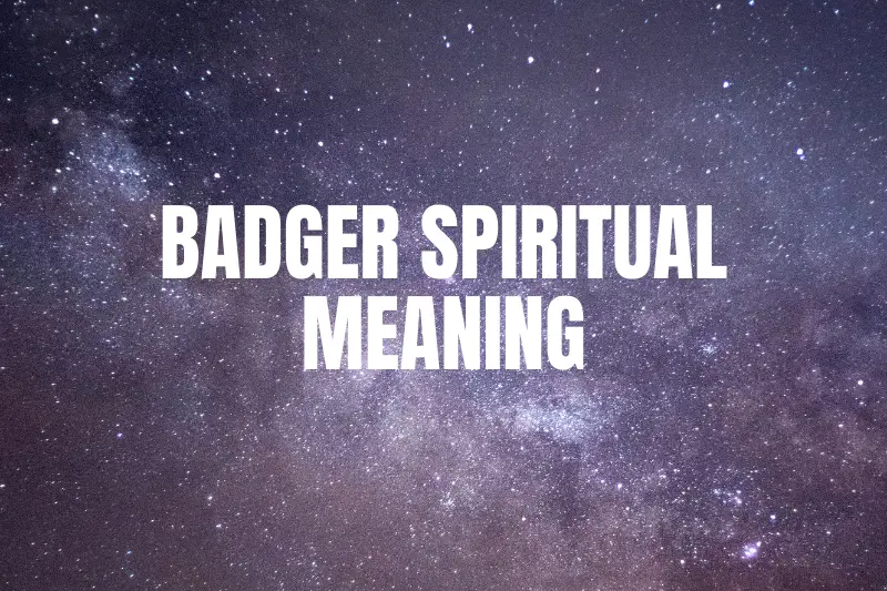 “Unlocking the Wisdom Within: The Badger Spiritual Meaning Unveiled”