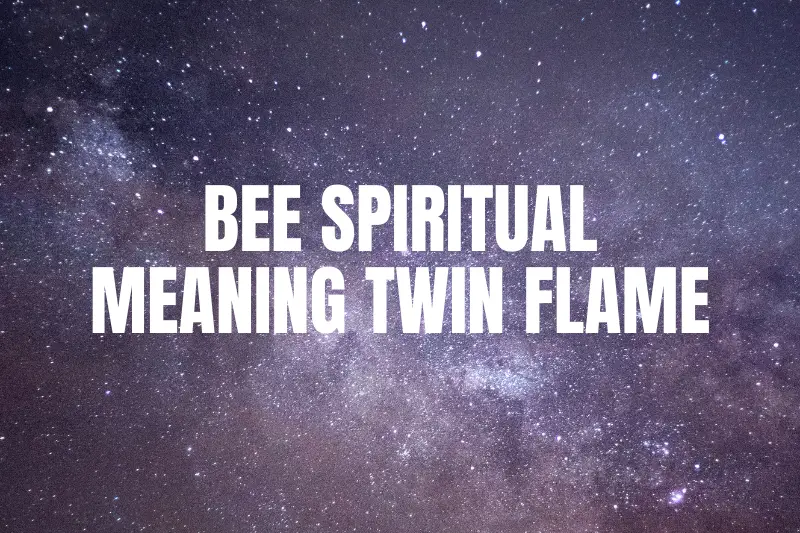 “Bee Spiritual Meaning: Unraveling the Twin Flame Connection and its Profound Significance”