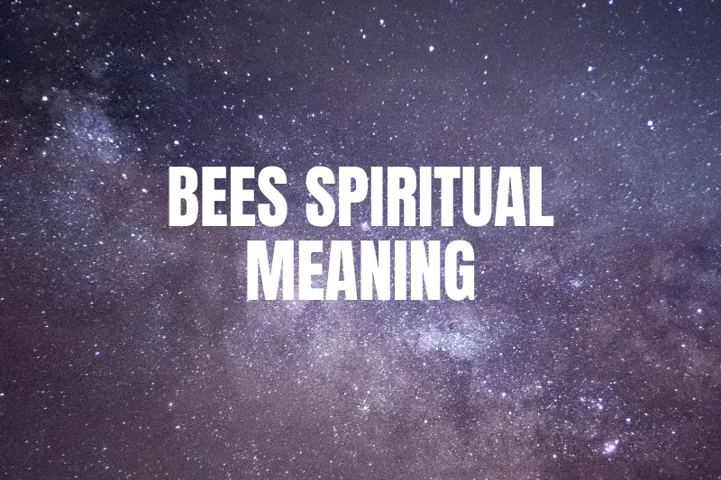 “Unlocking the Buzz: Bees Spiritual Meaning and Their Profound Symbolism in Our Lives”
