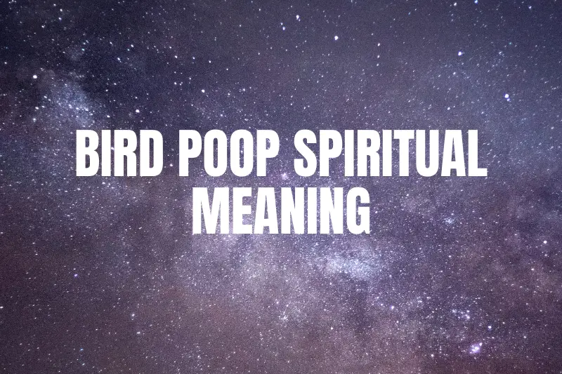 “Bird Poop Spiritual Meaning: Unveiling the Hidden Messages of Nature’s Unexpected Blessings”