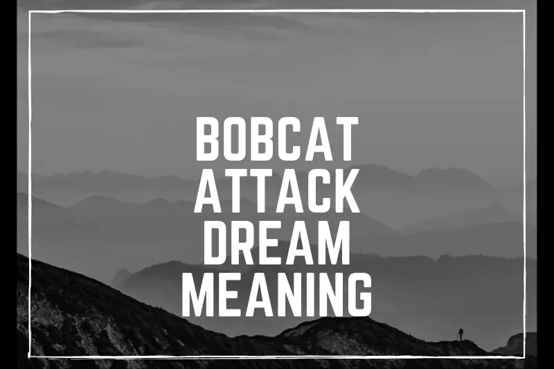 “Decoding the Hidden Messages: Bobcat Attack Dream Meaning Unraveled”