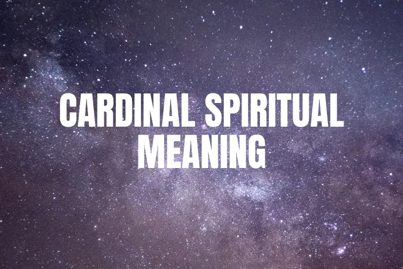 “Cracking the Code: Cardinal Spiritual Meaning Unveiled”