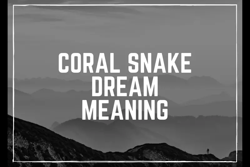 “Coral Snake Dream Meaning: Decoding the Symbolism and Hidden Messages”
