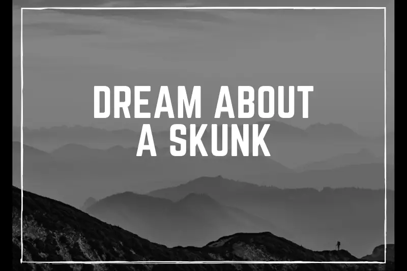 “Dream About a Skunk: Unveiling the Surprising Symbolism and Hidden Meanings”