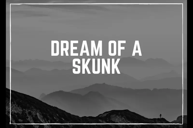 “Dream of a Skunk: Unraveling the Hidden Meanings and Symbolism in Your Subconscious”
