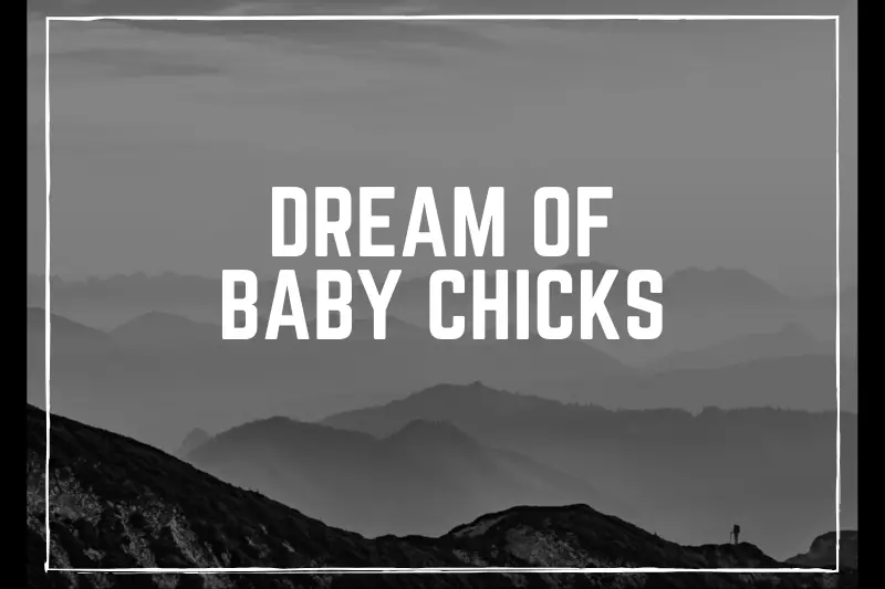 “Dream of Baby Chicks: Unveiling the Tale of Hope, Growth, and New Beginnings”