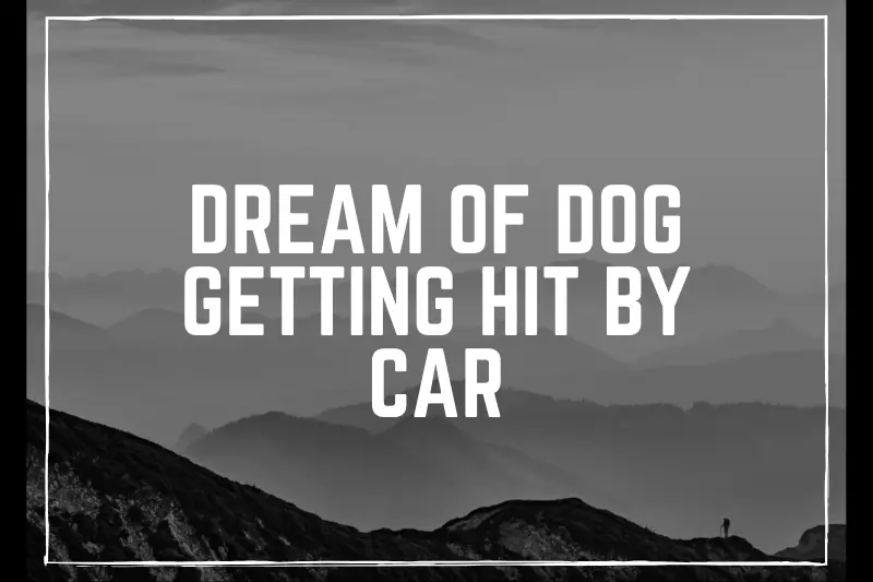 “Dream of a Dog Getting Hit by a Car: Decoding Its Hidden Meanings and Understandings”