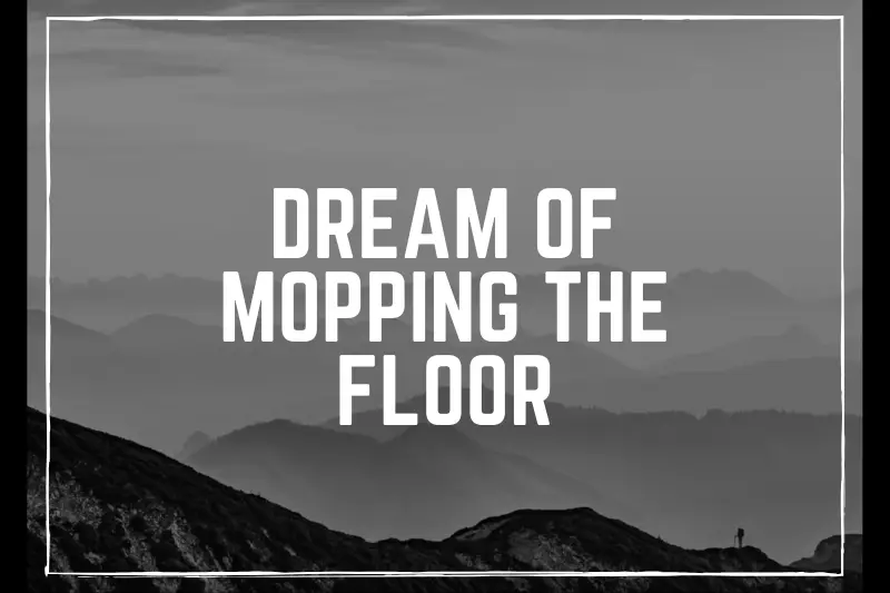 “Dream of Mopping the Floor: Unlocking the Hidden Meanings and Symbolism Behind Your Subconscious Clean Sweep”