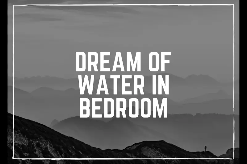 “Dream of Water in Bedroom: A Mysterious Sign or a Simple Plumbing Mishap?”