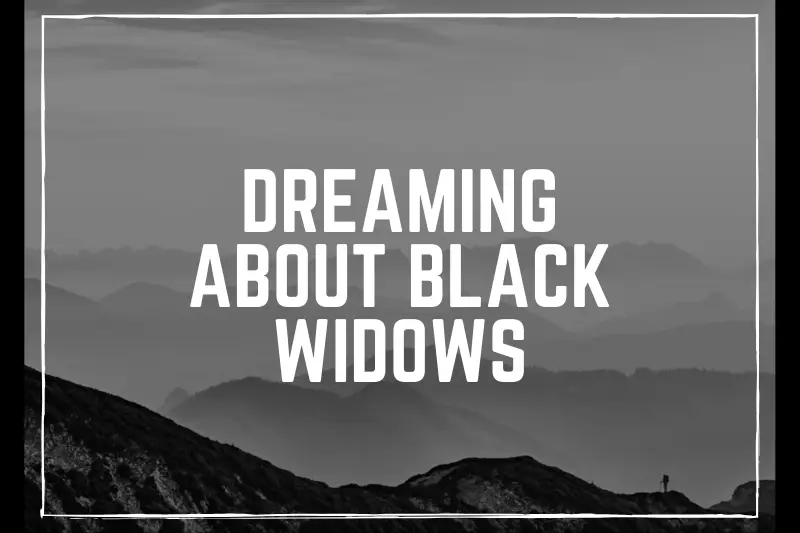 “Dreaming About Black Widows: Unraveling the Mysterious Symbolism and Hidden Meanings”