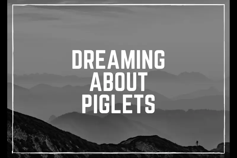 “Dreaming about Piglets: Unlocking the Hidden Meanings Behind Your Porcine Fantasies”
