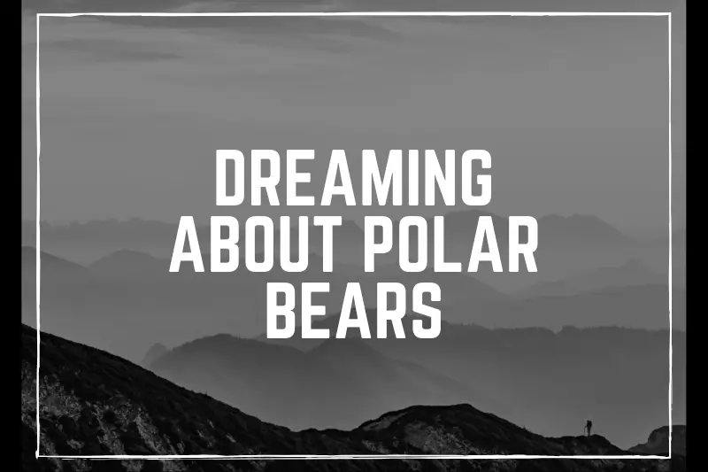 “Dreaming About Polar Bears: Unveiling the Hidden Meanings and Intriguing Symbolism”