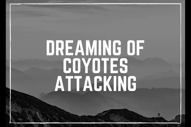 “Dreaming of Coyotes Attacking: Uncover the Hidden Meanings and Symbolism Behind These Intriguing Dreams”