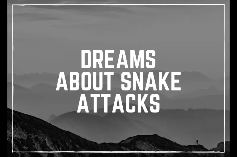 “Dreams About Snake Attacks: Unraveling the Hidden Meanings and Explaining Their Impact on Your Subconscious”