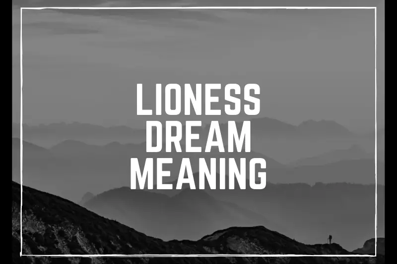 “Lioness Dream Meaning: Unveiling the Symbolism and Power Behind Your Nighttime Encounters”