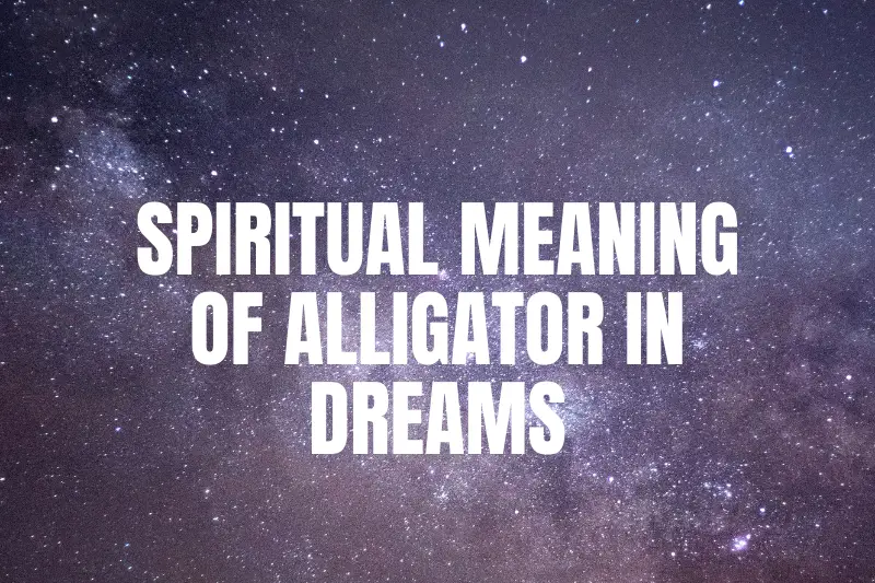 “Unlocking the Spiritual Meaning of Alligator in Dreams: Exploring the Symbolism and Messages”