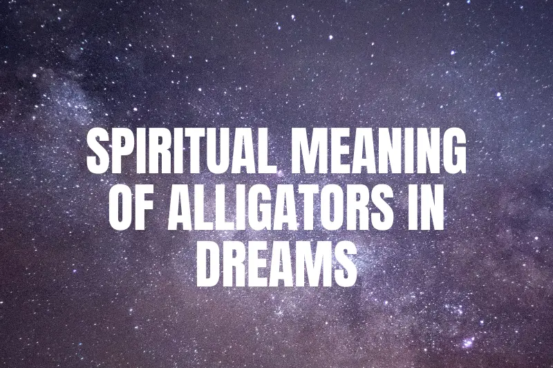 Unlocking the Mystery: The Spiritual Meaning of Alligators in Dreams