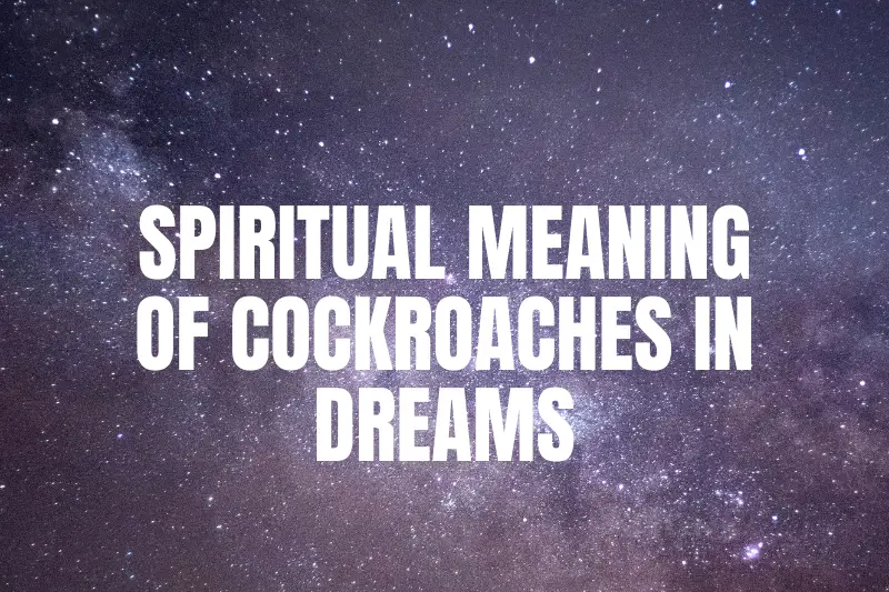 Unlocking the Mysteries: Exploring the Spiritual Meaning of Cockroaches in Dreams