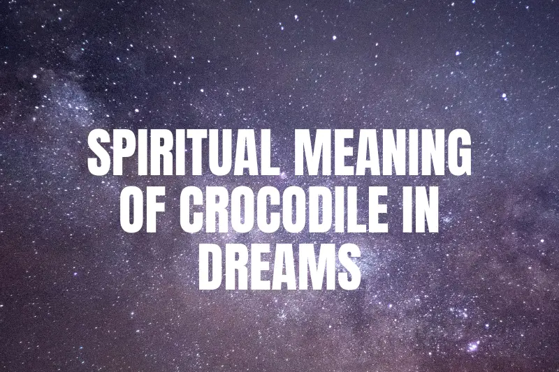 Decoding the Secrets: Exploring the Spiritual Meaning of Crocodile in Dreams