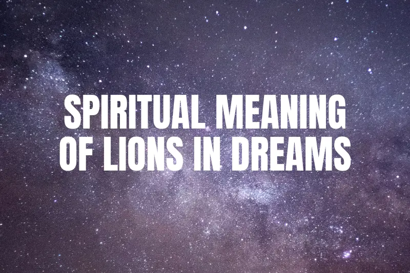 “The Ins and Outs of Exploring the Spiritual Meaning of Lions in Dreams: Unveiling a Profound Connection”