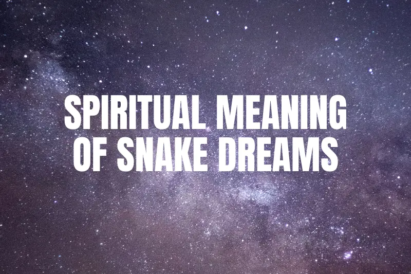 “Decoding the Spiritual Meaning of Snake Dreams: Unveiling the Symbolism that Lingers in Your Subconscious”