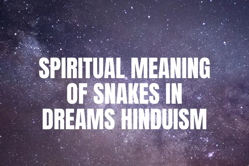 “Unlocking the Mystical Secrets: Exploring the Spiritual Meaning of Snakes in Dreams in Hinduism”