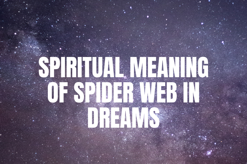 “The Intriguing Spiritual Meaning of Spider Web in Dreams: Decoding the Symbolism Behind Your Nighttime Tangles”