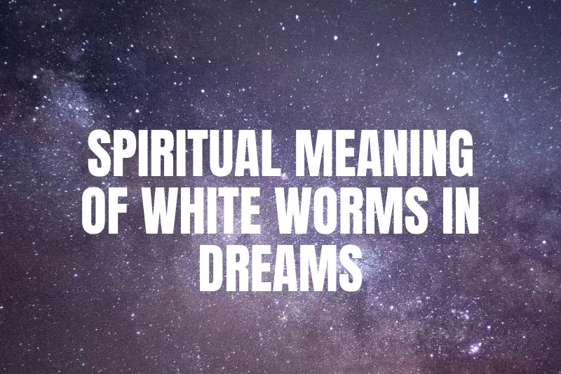 Unveiling the Spiritual Meaning of White Worms in Dreams: A Dive into Your Subconscious Depths