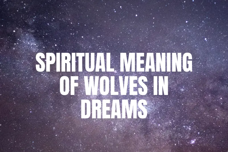 “Unlocking the Mystical Realm: Exploring the Spiritual Meaning of Wolves in Dreams”