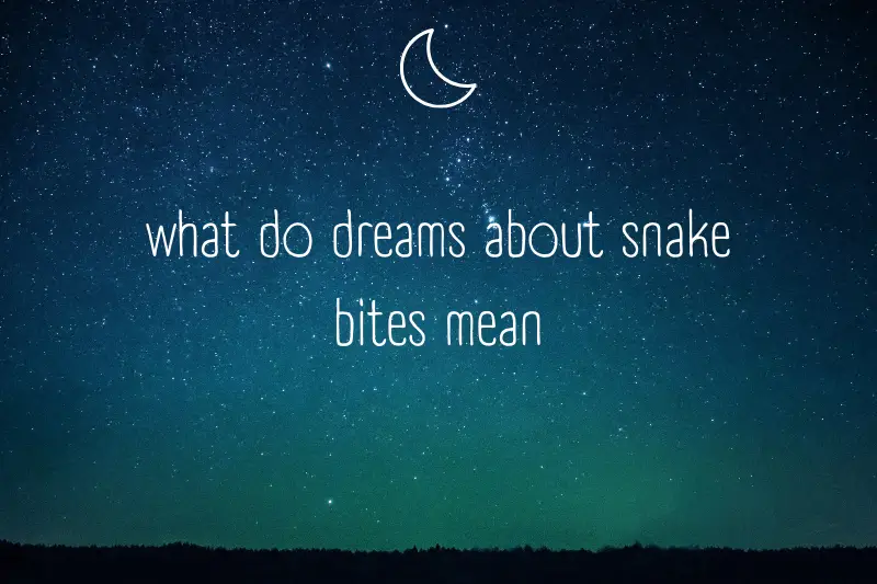 “What Do Dreams About Snake Bites Mean? Unraveling the Mysteries of Your Subconscious Mind”