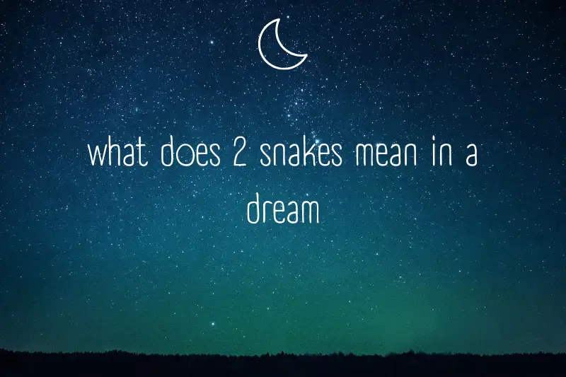 “What Does 2 Snakes Mean in a Dream? Unlocking the Symbolic Secrets of Serpent Encounters”
