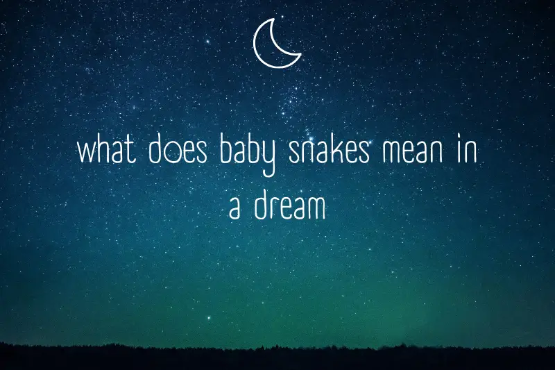 “What Does Dreaming of Baby Snakes Mean? Decoding the Symbolism Behind Your Nighttime Visions”