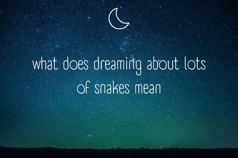 “What Does Dreaming About Lots of Snakes Mean? Decoding the Symbolism and Hidden Messages in Your Dreams”