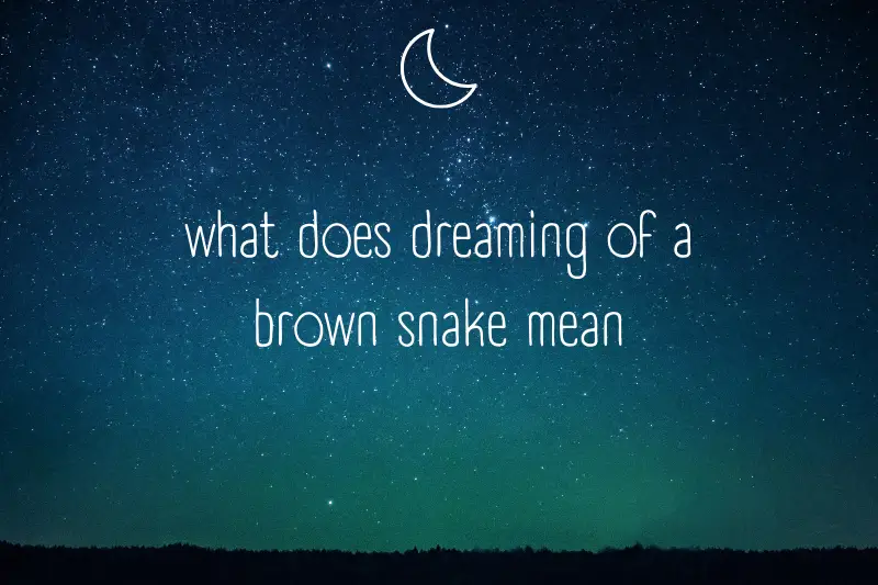 “What Does Dreaming of a Brown Snake Mean? Unveiling the Hidden Messages and Symbolism behind this Intriguing Dream”
