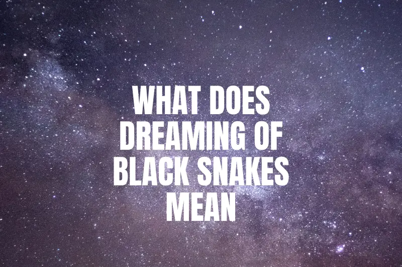 “What Does Dreaming of Black Snakes Mean? Unveiling the Hidden Symbolism Behind this Mysterious Dream”