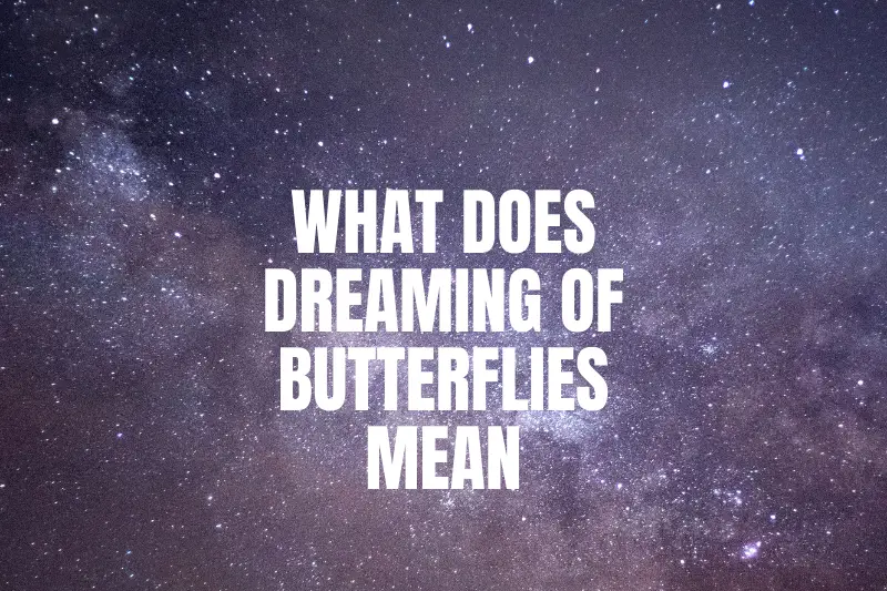 “What Does Dreaming of Butterflies Mean? Unlocking the Symbolism Behind this Mesmerizing Dream”