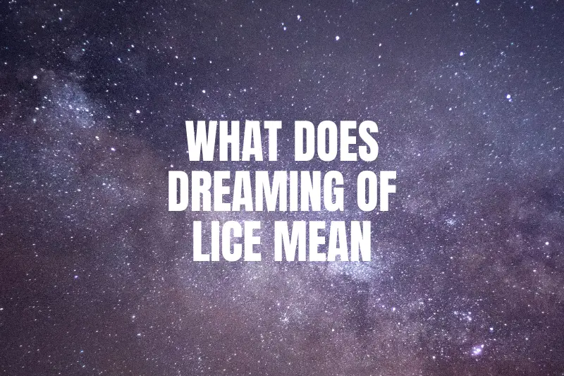 “What Does Dreaming of Lice Mean? Unlocking the Hidden Messages Behind Infestation in Your Dreams”