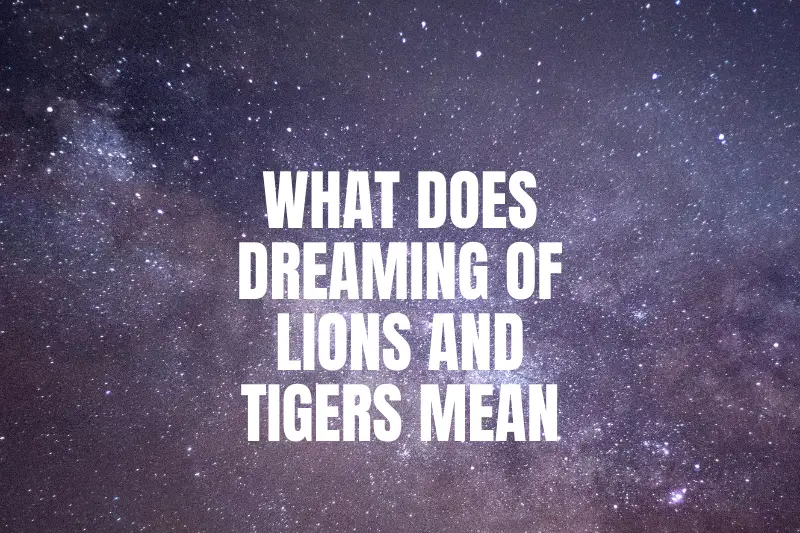 What Does Dreaming of Lions and Tigers Mean? Exploring the Symbolism of Dreams