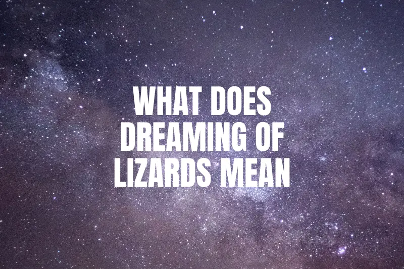 “What Does Dreaming of Lizards Mean? Decode the Hidden Messages in Your Subconscious”