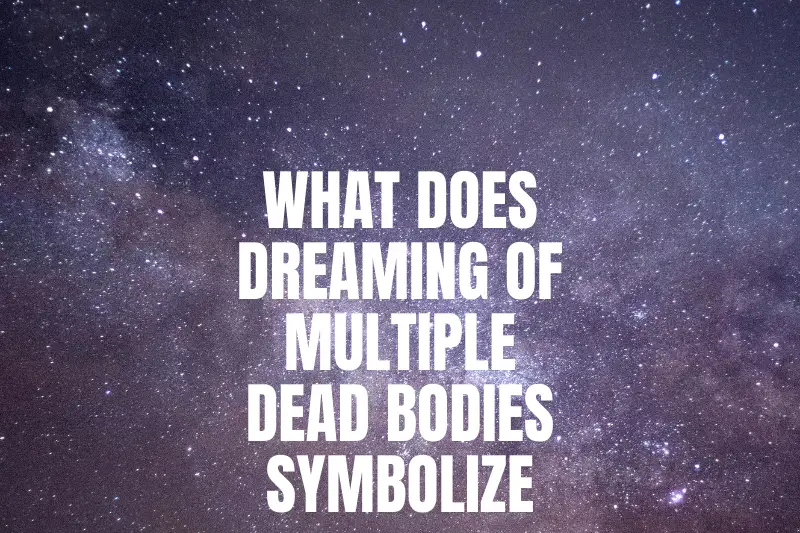 “What Does Dreaming of Multiple Dead Bodies Symbolize? Unravel the Intriguing Meaning Behind Your Nighttime Visions”