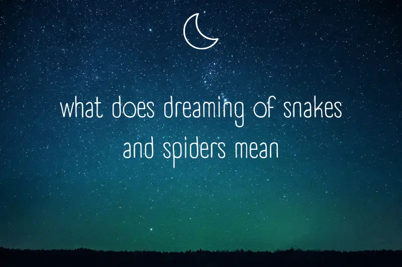 “What Does Dreaming of Snakes and Spiders Mean? Exploring the Mysteries of Our Subconscious”