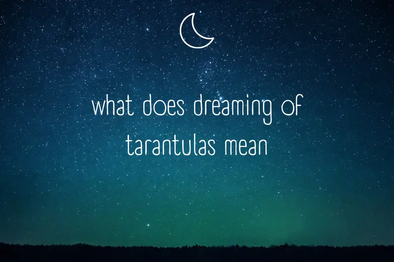 “What Does Dreaming of Tarantulas Mean? The Startling Insights into Your Subconscious Mind”