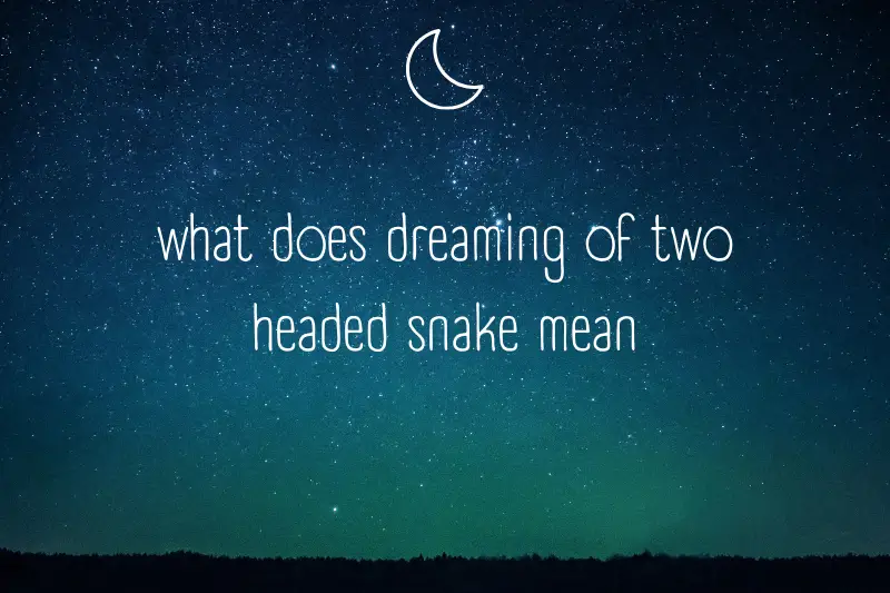 “What Does Dreaming of a Two-Headed Snake Mean? A Fascinating Exploration into Dream Symbolism”