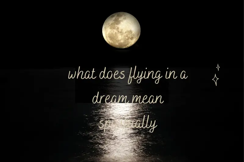“What Does Flying in a Dream Mean Spiritually: Unveiling the Hidden Symbolism behind Soaring through the Skies”