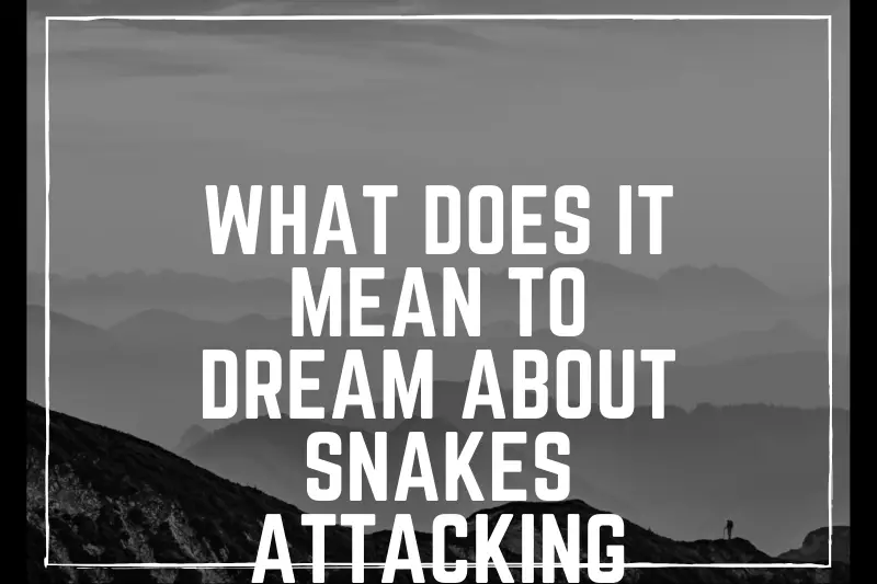 “What Does It Mean to Dream About Snakes Attacking You? Decoding the Hidden Messages in Your Dreams”