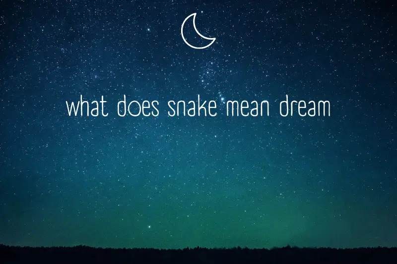“What Does Snake in Your Dream Symbolize? Decoding the Mysterious Meanings”