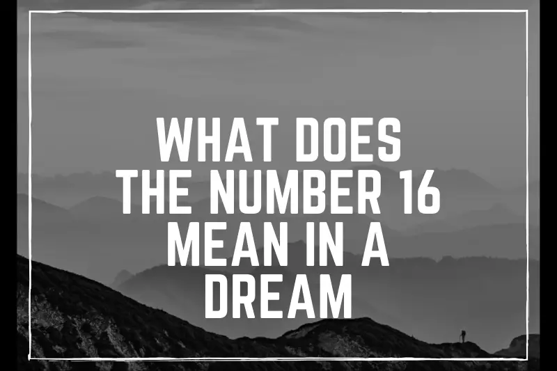 “What Does the Number 16 Mean in a Dream? Decoding the Mystical Significance of this Symbolic Digit”