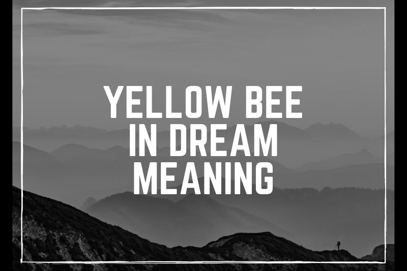 “Unlocking the Mysteries: Yellow Bee in Dream Meaning Decoded”
